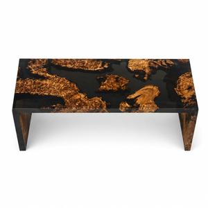 Cunninghamia Transparent Black Straight-Edge Epoxy Resin Chair